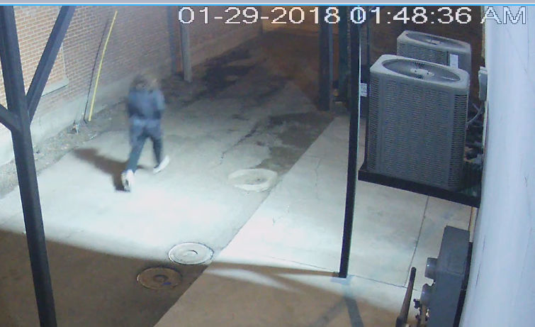 Arson suspect